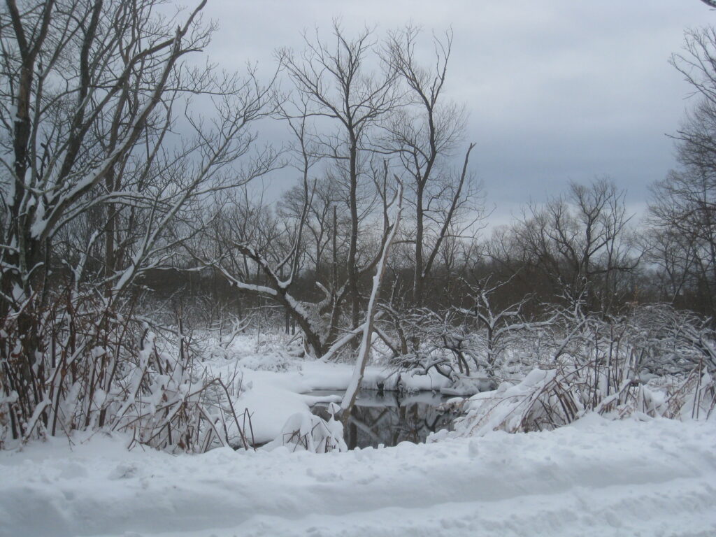 Eileen Mcenaney "Wintry Landscape"